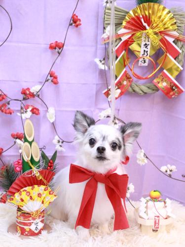 20230106メロディくん